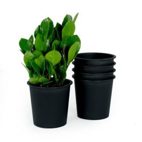 6.3" Round Nursery Plant Pot - Garden Plastic Pots with Drainage (5-Pack)