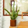 7.8 in. Dark Wood Plastic Self-watering Planter Pot