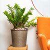 13 in.Gray Wicker Self-watering Planter