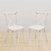 2-Pack Resin X-Back Chair, Dining Chair Furniture 2-Pack, Modern Farmhouse Cross Back Chair for Kitchen,Lime Wash