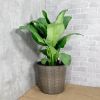 2-Pack Self-watering Wicker Decor Planter for Indoor and Outdoor - Round - Grey