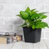 7.9" Square Nursery Plant Pot - Garden Plastic Pots with Drainage (5-Pack)